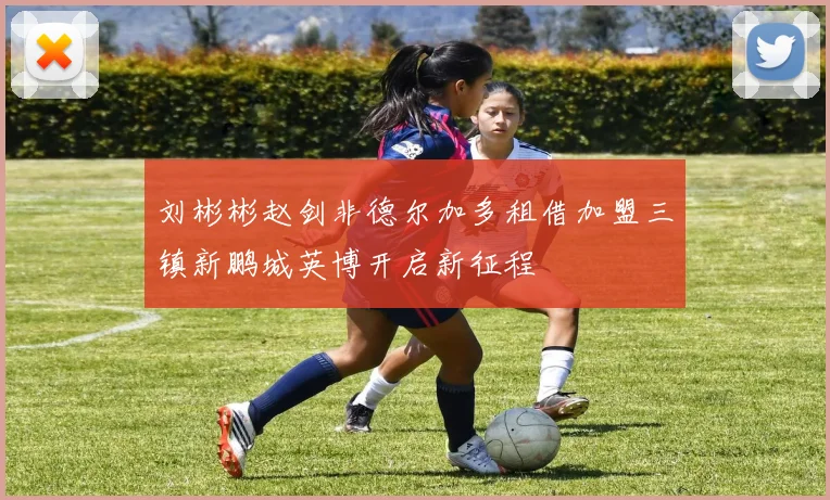 刘彬彬赵剑非德尔加多租借加盟三镇新鹏城英博开启新征程